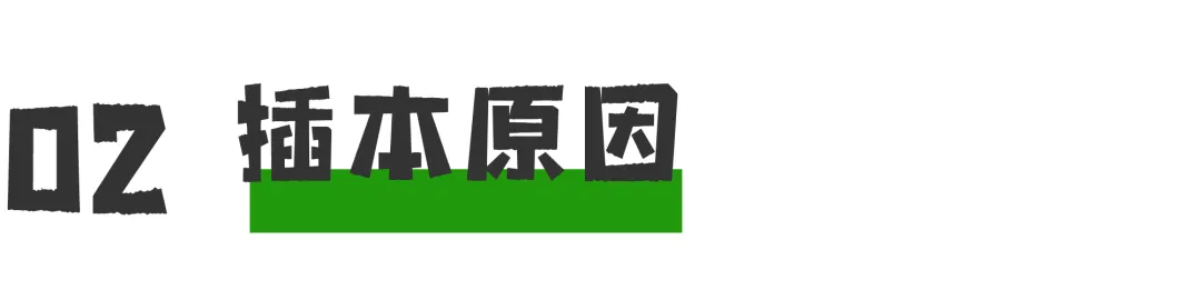 企业微信截图_17174695591981.png