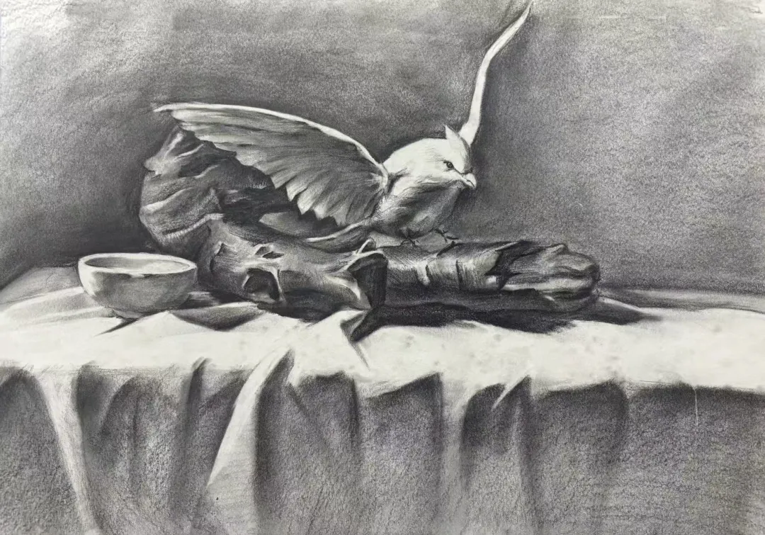 学画画