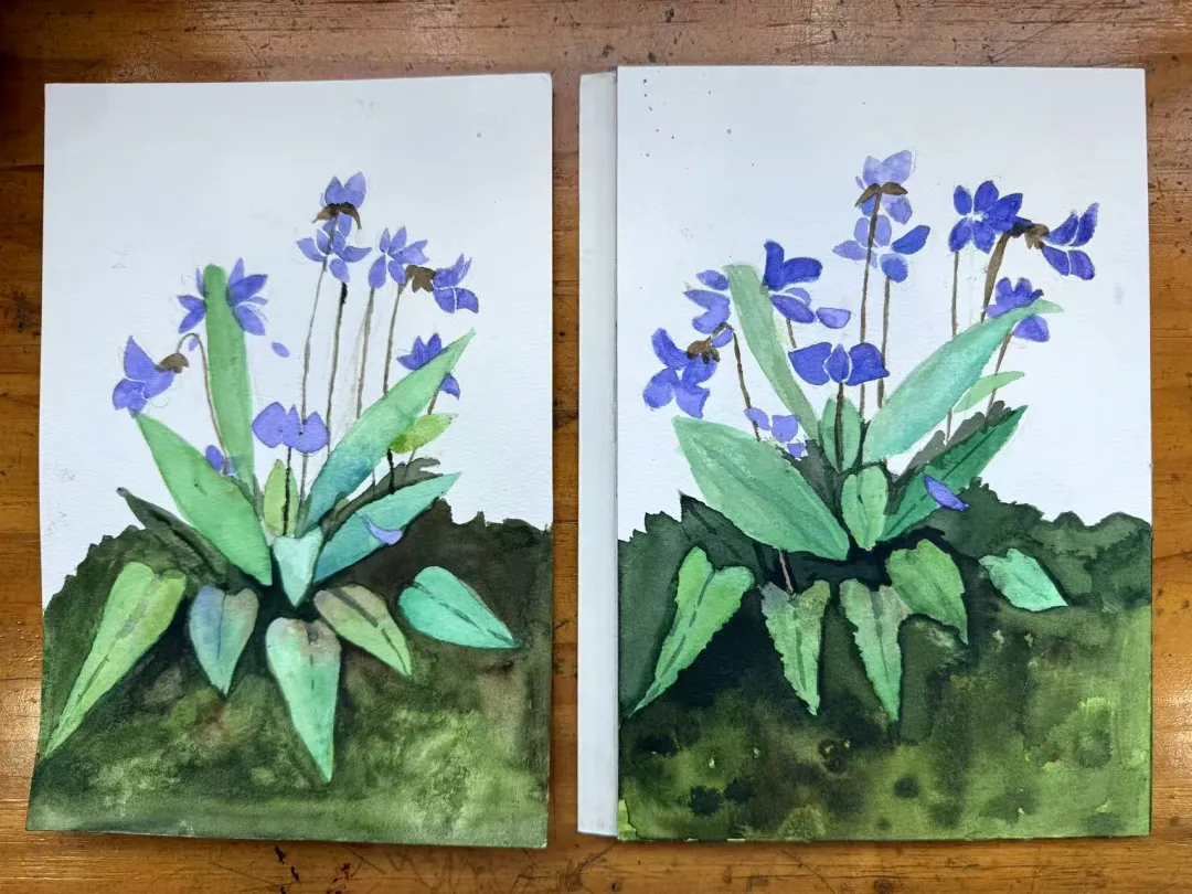 学画画