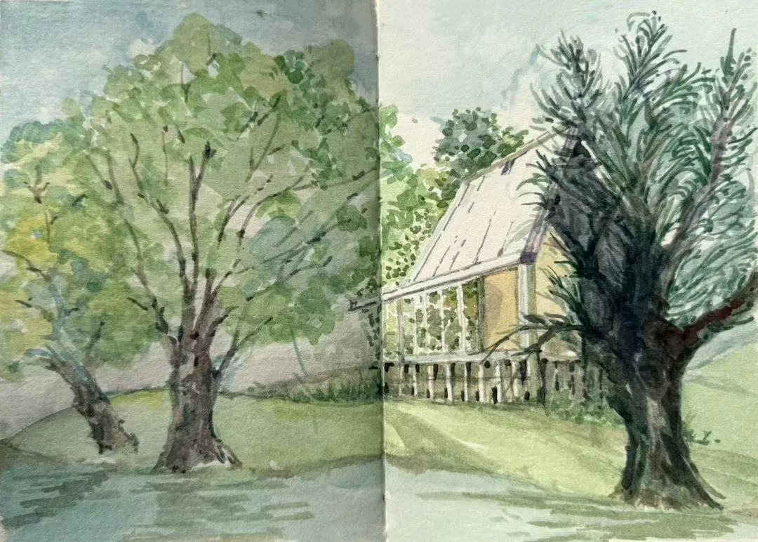 学画画
