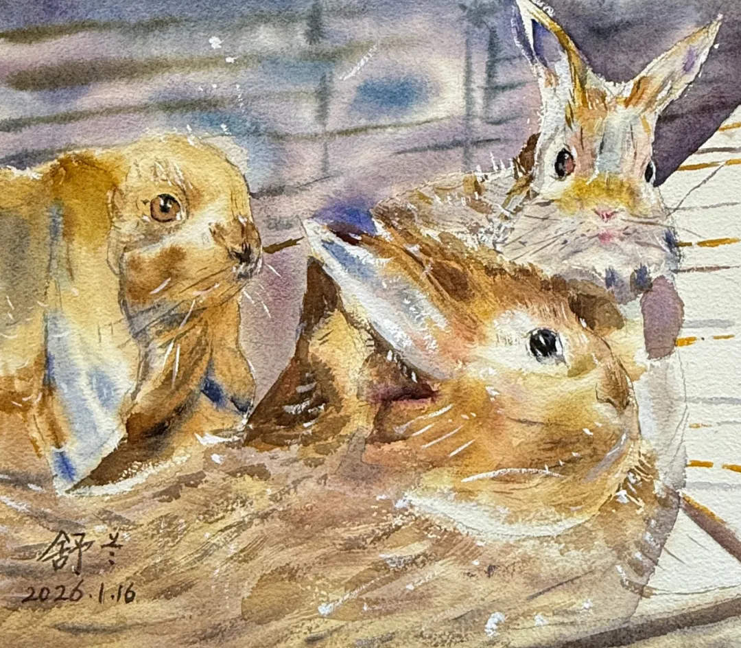 学画画