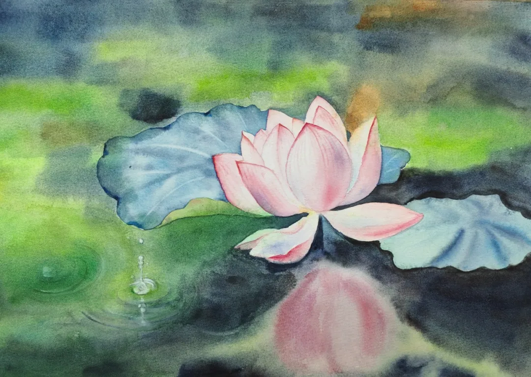 学画画