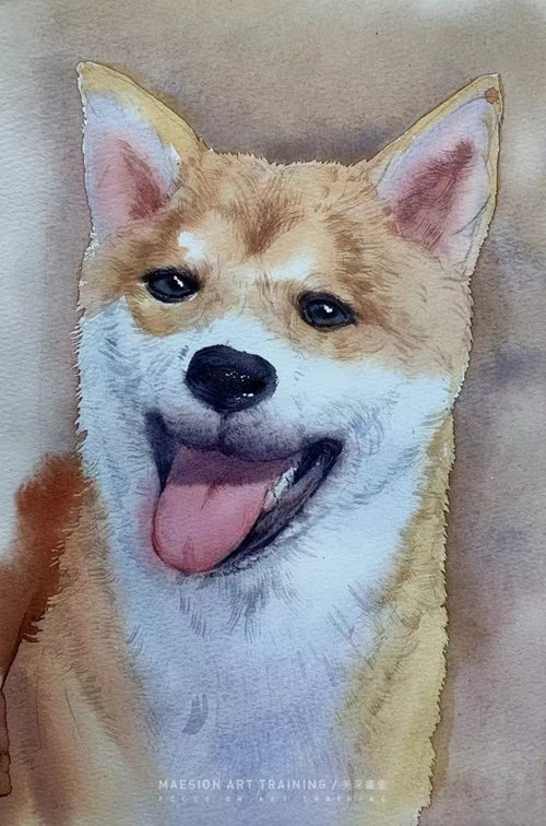 深圳福田区学画画24