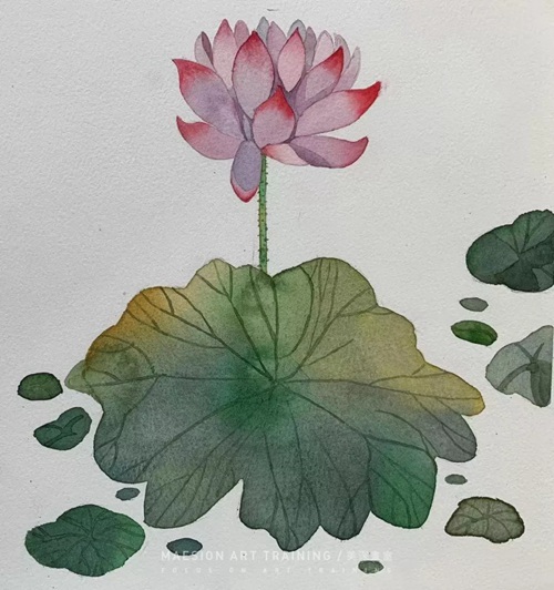 深圳福田区学画画26