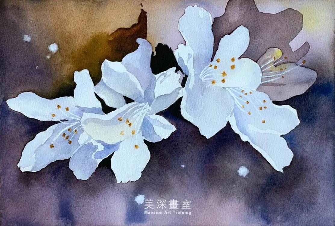 深圳学水彩